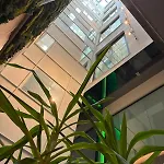 Hotel Nena Sultanahmet